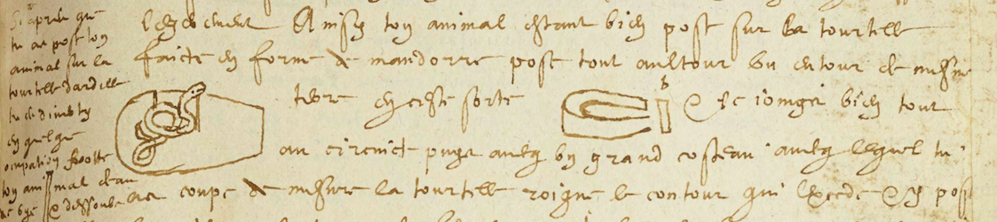 The Manuscript